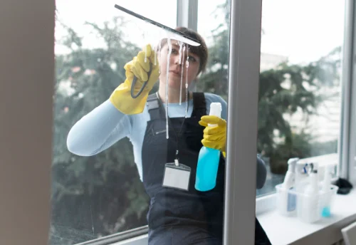 Nettoyage de vitres intérieures et extérieures à Saint-Hilaire-le-Châtel